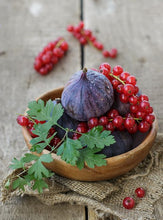 Load image into Gallery viewer, Travel Collection